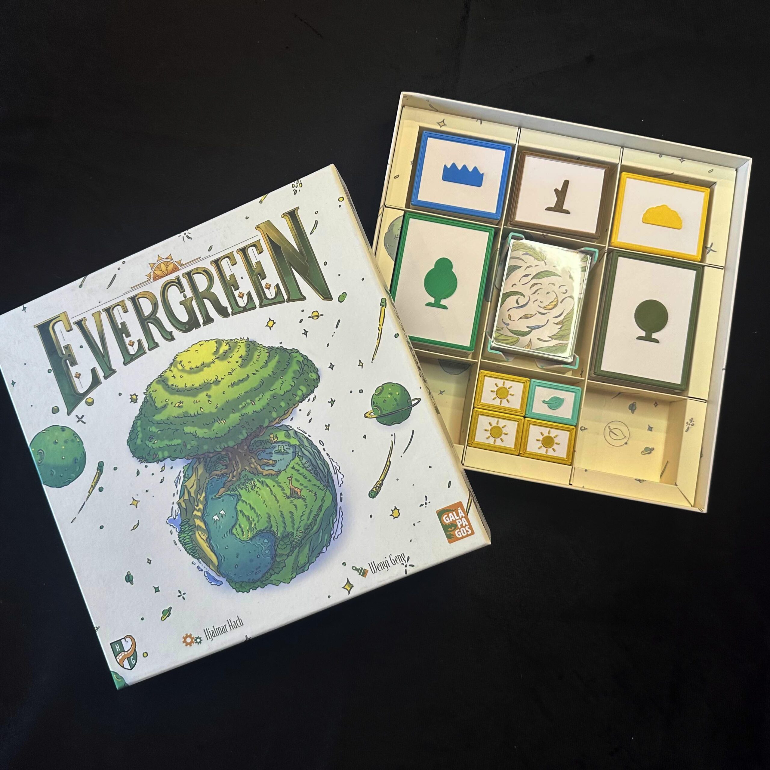 Insert – Evergreen