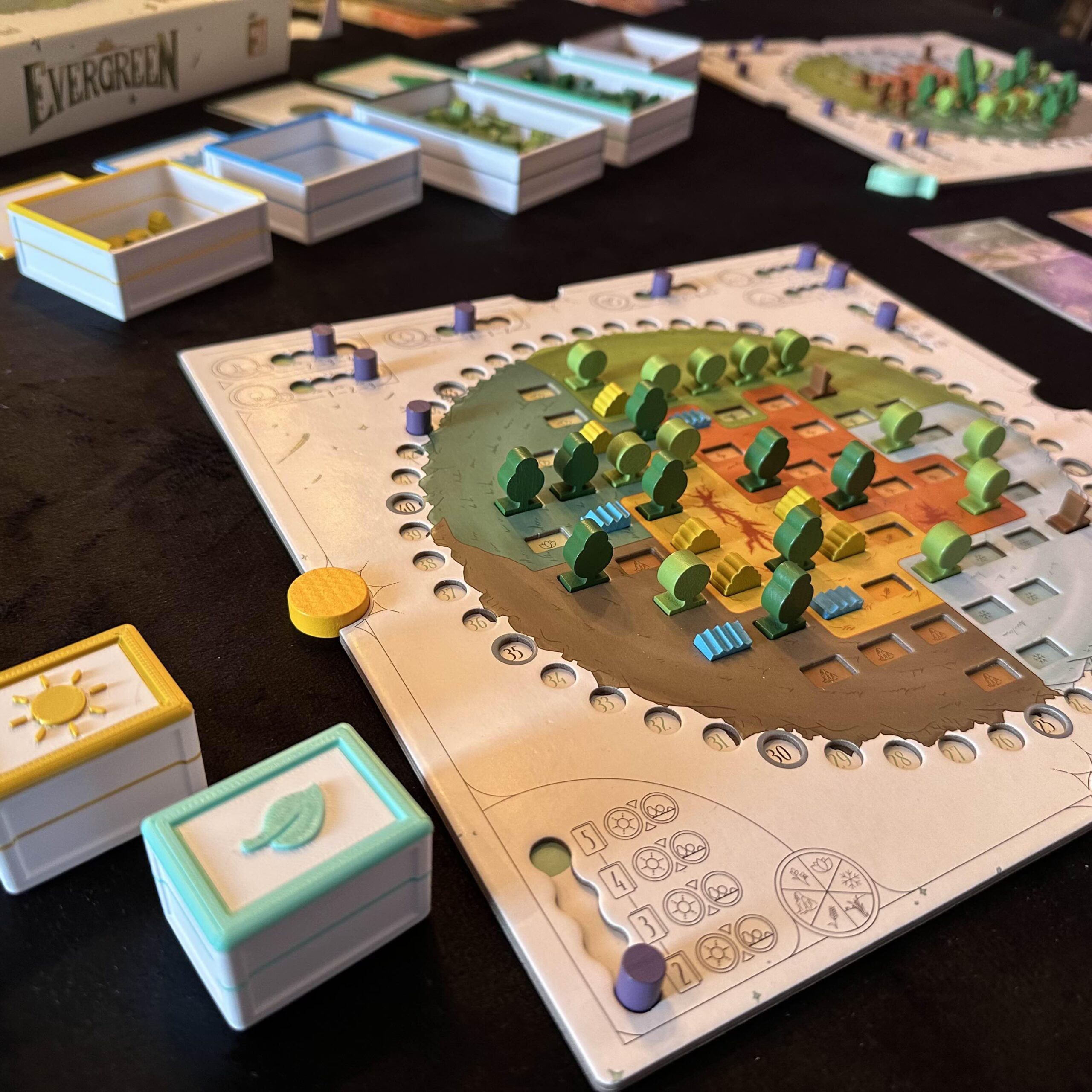 Insert – Evergreen - Galeria